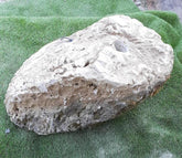 Moss Bubble Rock - 147
